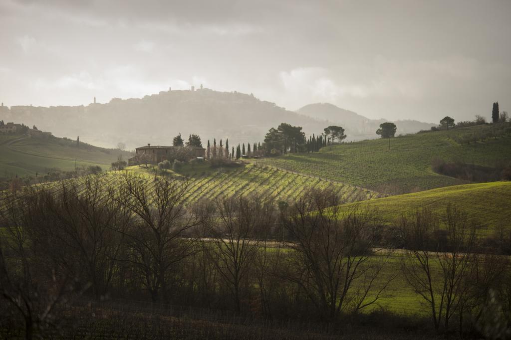 Follonico 4-Suite B&B Torrita di Siena Bagian luar foto