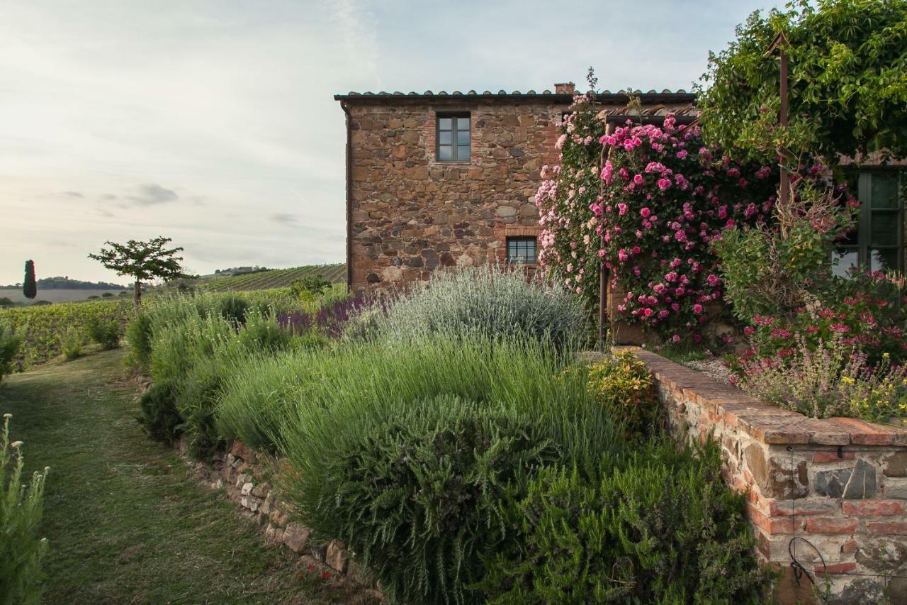 Follonico 4-Suite B&B Torrita di Siena Bagian luar foto
