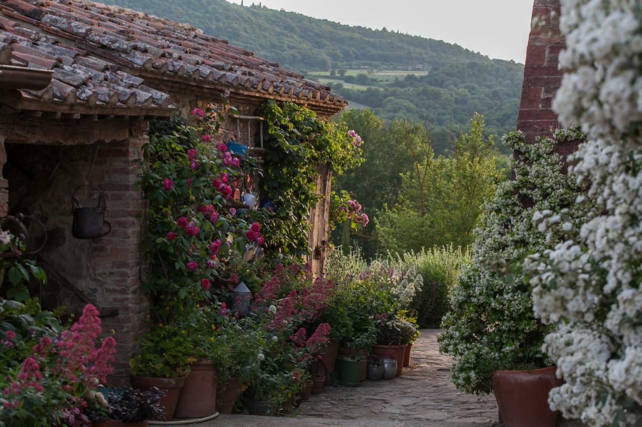 Follonico 4-Suite B&B Torrita di Siena Bagian luar foto